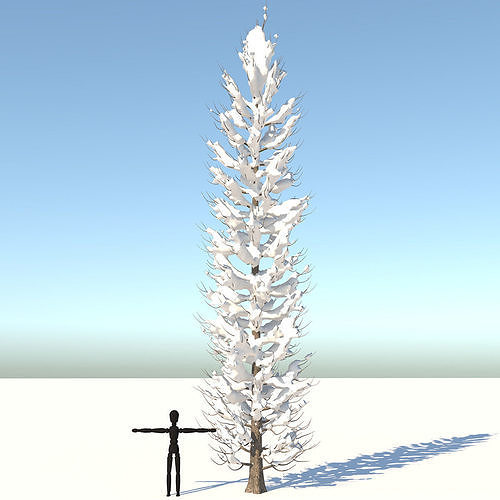Snow Tuscan Cypress Tree