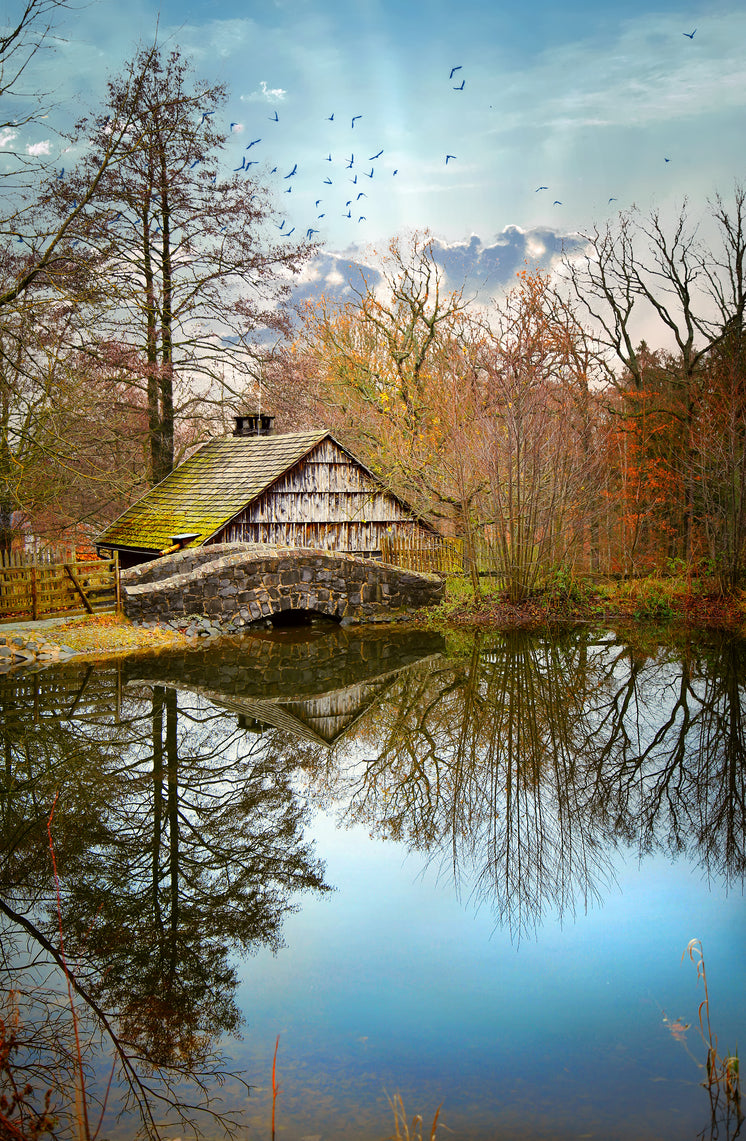 Old Cabin On The Lake