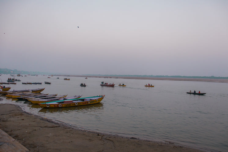 River Boats On The Gangas Shore